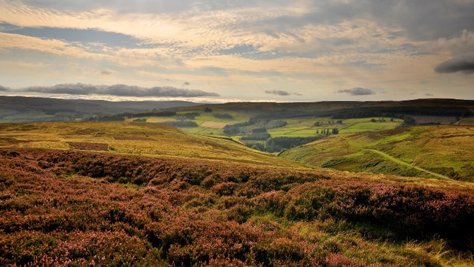 Frosterley Marble Walk - This is Durham