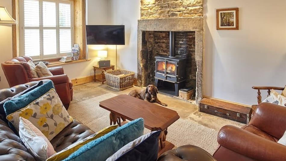 Living area with fireplace