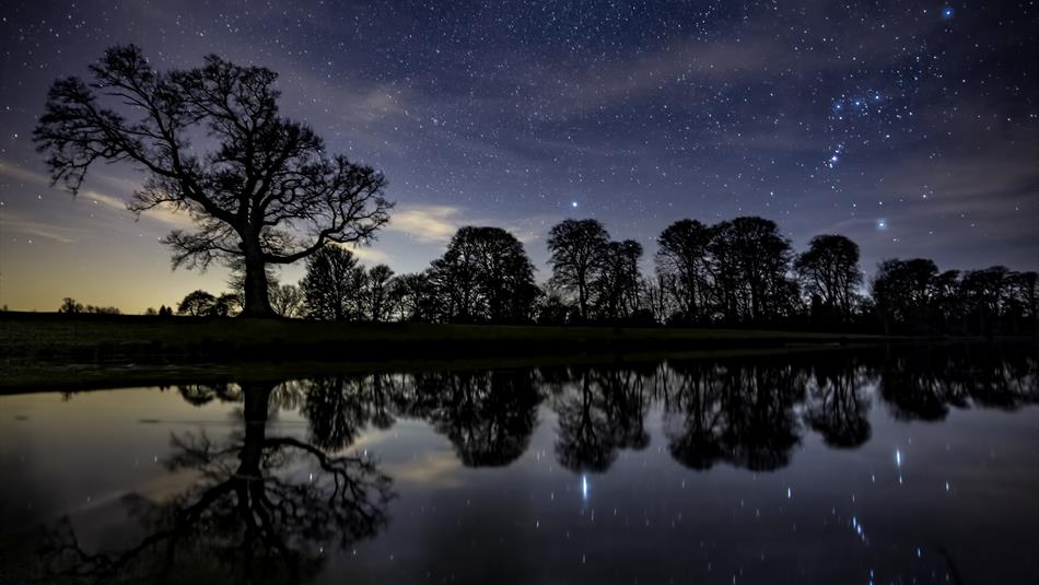 Stargazing at Raby Castle