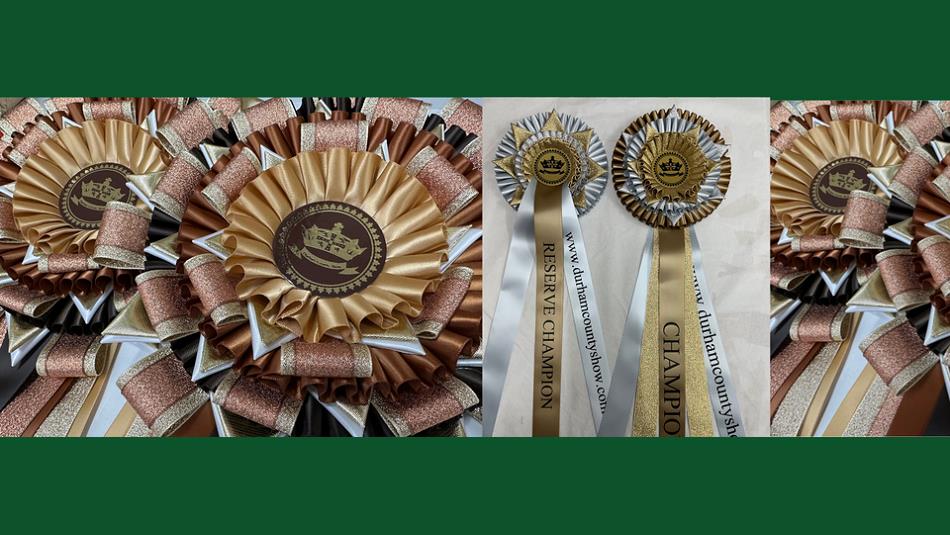 Rosettes from the Durham County Show