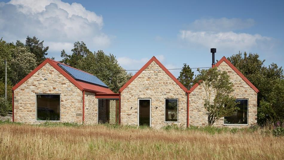 Sarah Nelson Studio