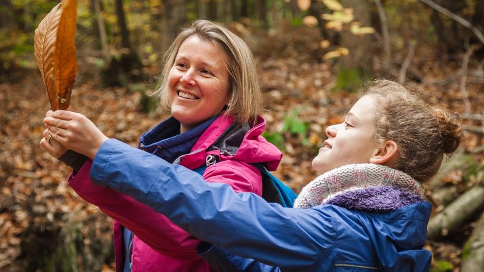 Two people looking at autumn leaves. Forestry England