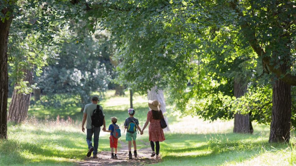 family walking hand in hand through the green lush trees at Auckland Palace Deer Park