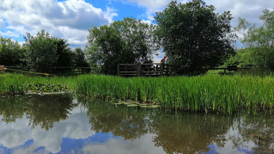 Aycliffe Nature Park