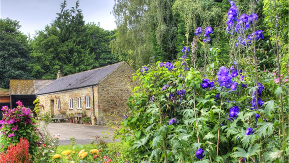 The Barn at Low Friarside Farm