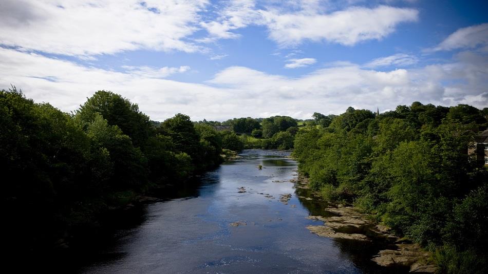 River and Woodland in Barnard Castle