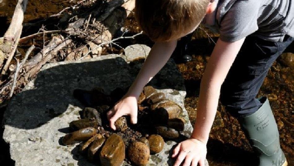 A child looking at fossils