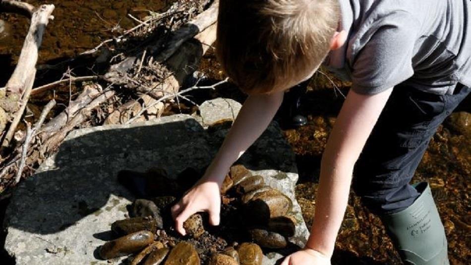 A child looking at rocks and stones