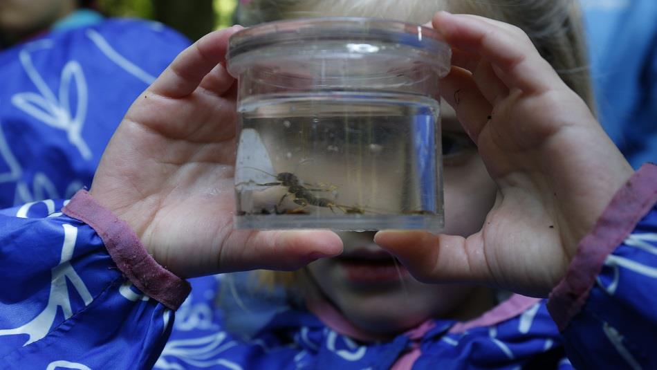 A child looking at an insect in a jar
