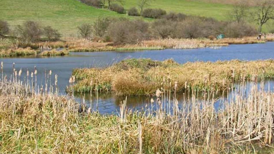 Cassop Vale Nature Reserve