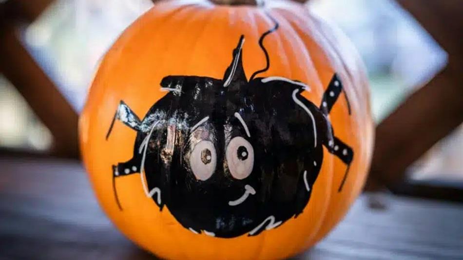 A pumpkin decorated with a painting of a spider