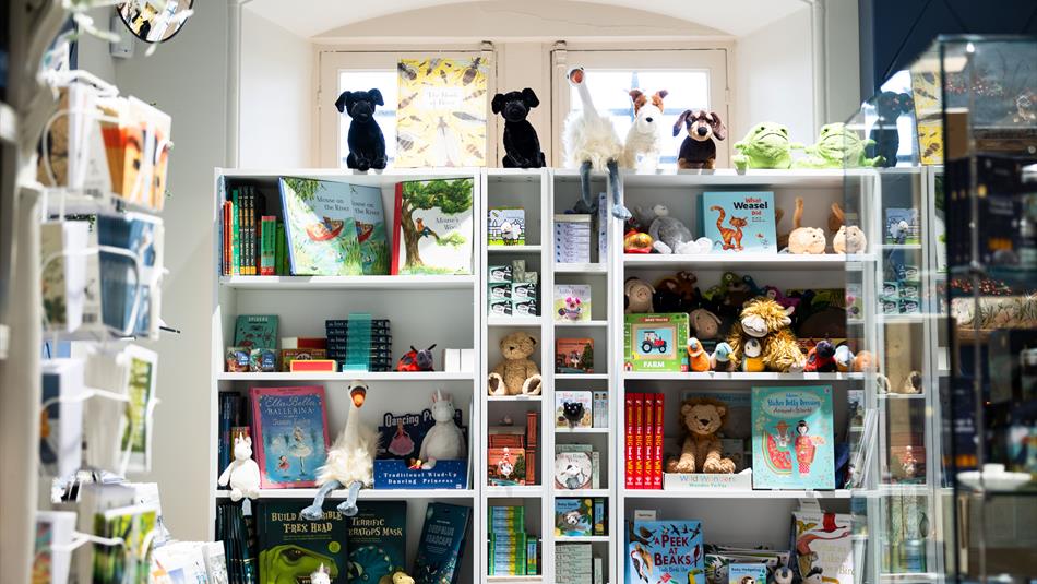 The inside of the shop with books, toys and cards on display.