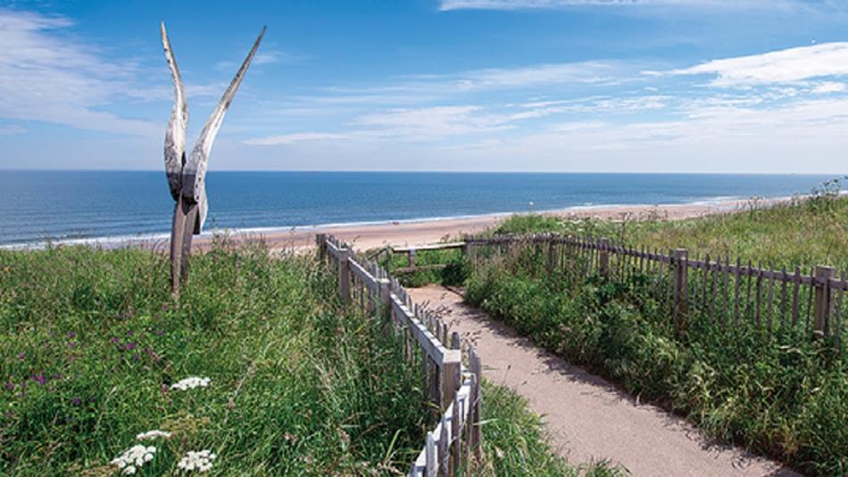 The beach banks at Crimdon