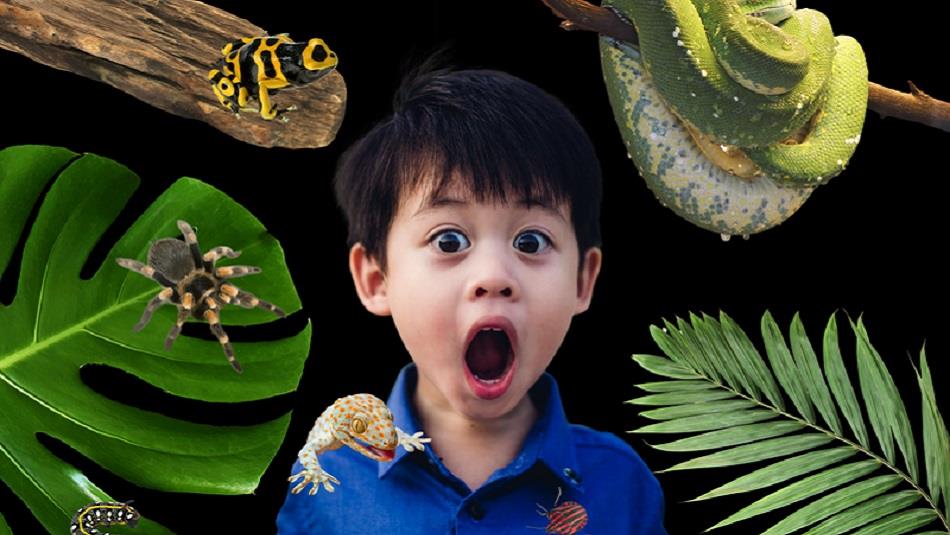 A small boy surrounded by creatures, snake, spider, frog