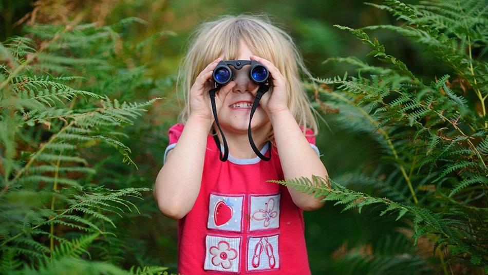 Small child looking through binoculars, surrounded by ferns