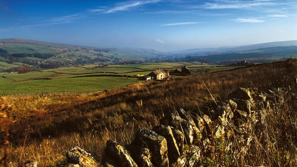 Wolsingham Family Walk