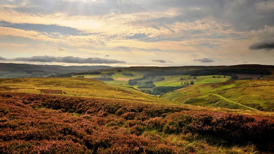 North Pennines in Autumn