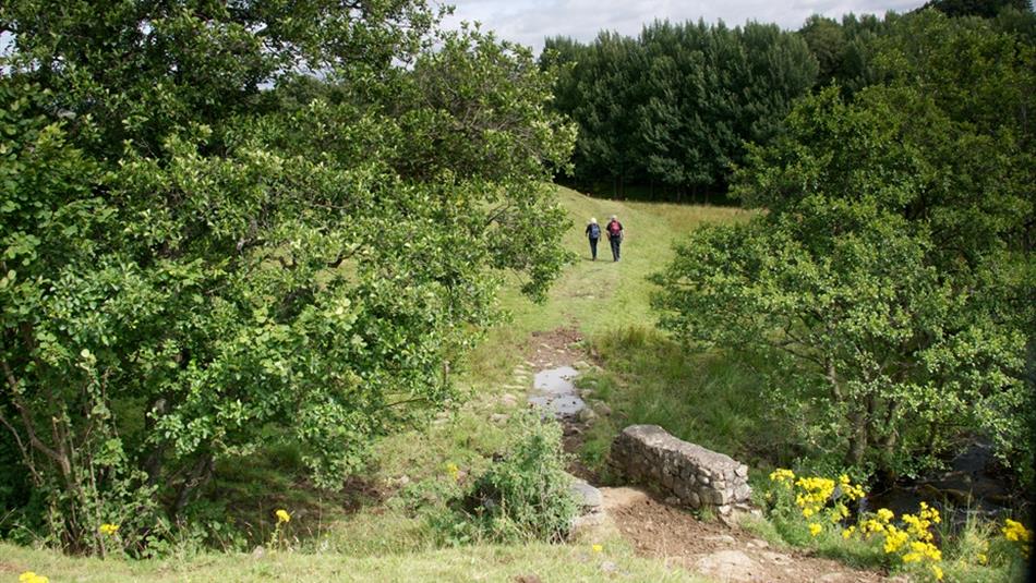 Countryside Service Durham County Council