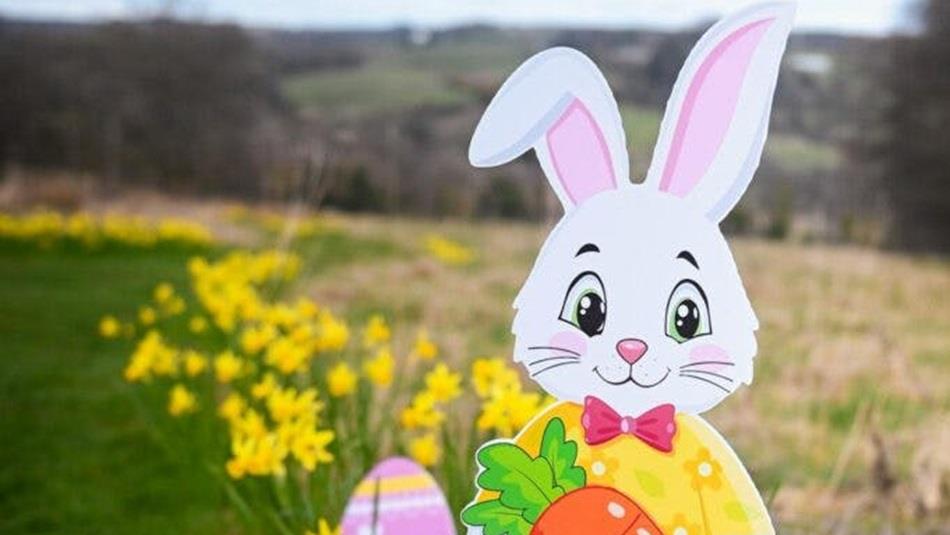 Cartoon image of an Easter Bunny holding a carrot, standing in a field of daffodils.