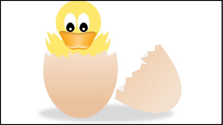 Cartoon image of a Chick in an egg.