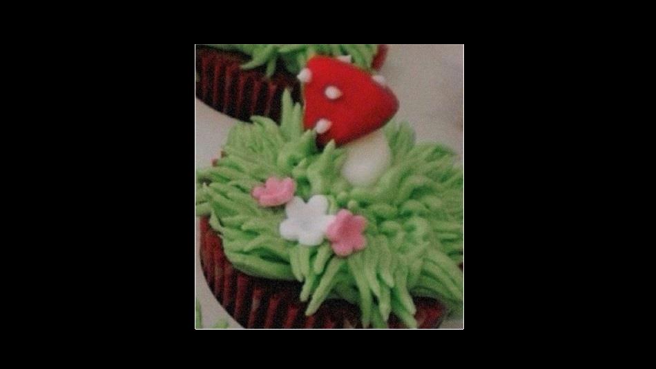 A decorated cupcake.