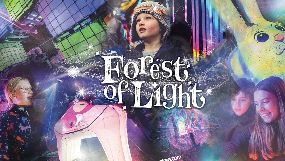 Children and families enjoying the 'Forest of Light' at Beamish Hall Hotel