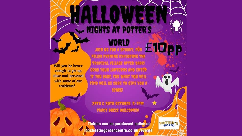 Poster with details of the Halloween Nights at Potters World event