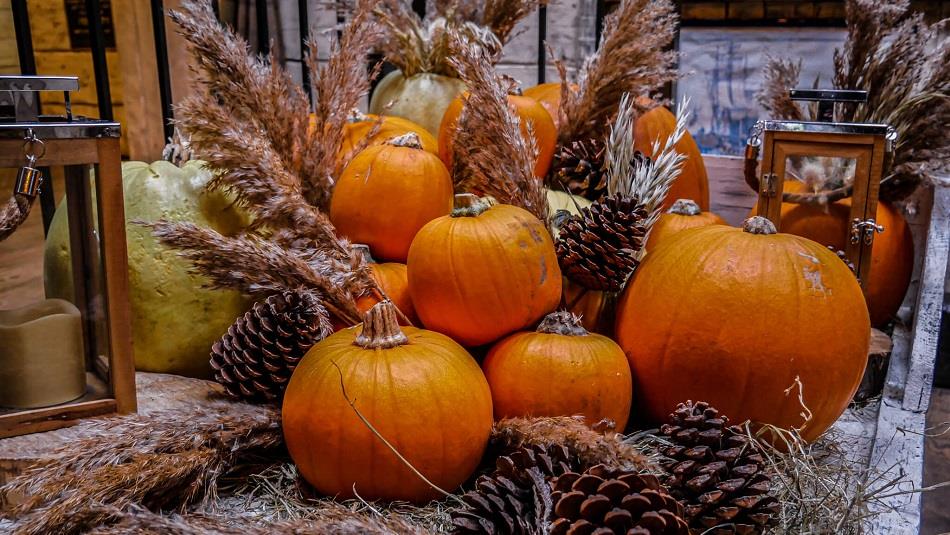 Halloween Pumpkins