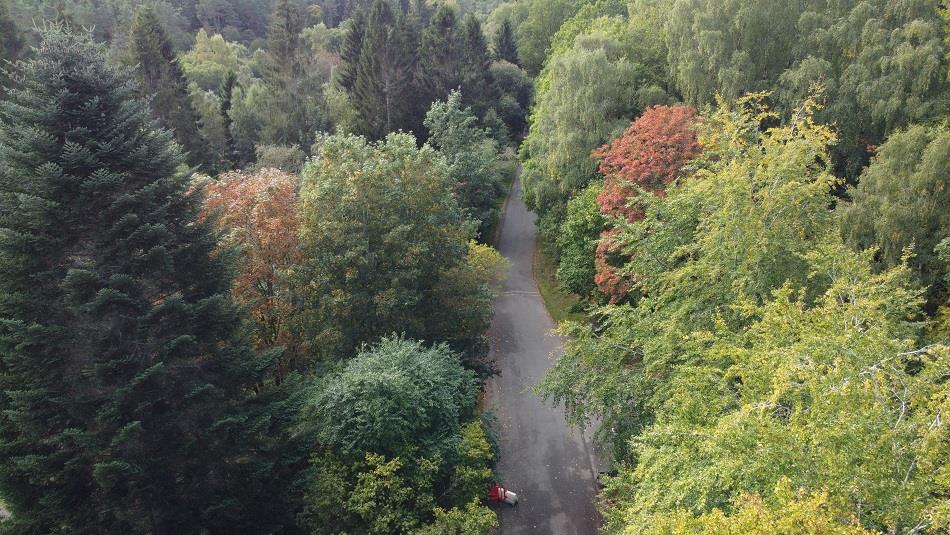 Aerial view of Hamsterley Forest