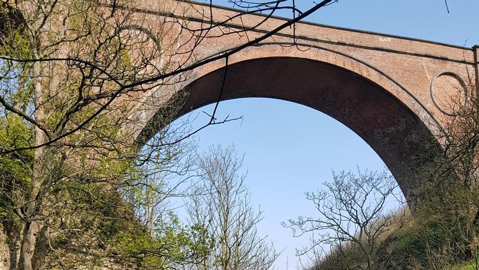 Ancient woodland and bridge at Hawthorn Dene.
