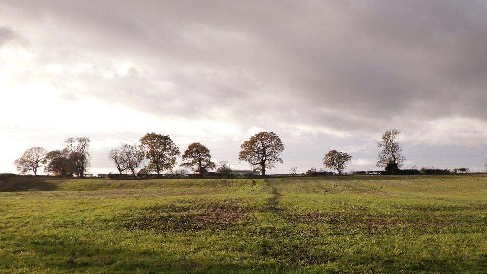 Countryside around Hunwick.