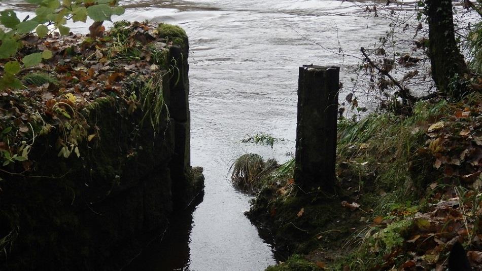 Riverside path