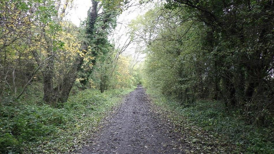 Hunwick country lane.