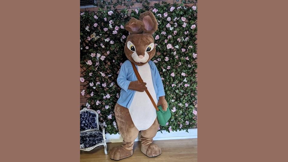 Peter Rabbit character