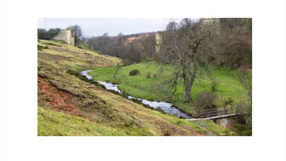 Cockfield Fell Heritage Walk