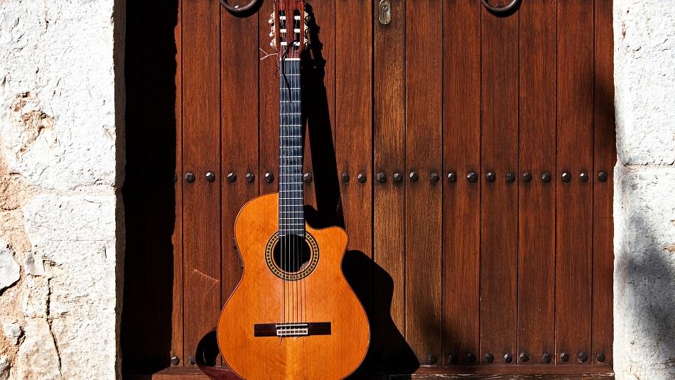 A guitar standing against a wooden door.