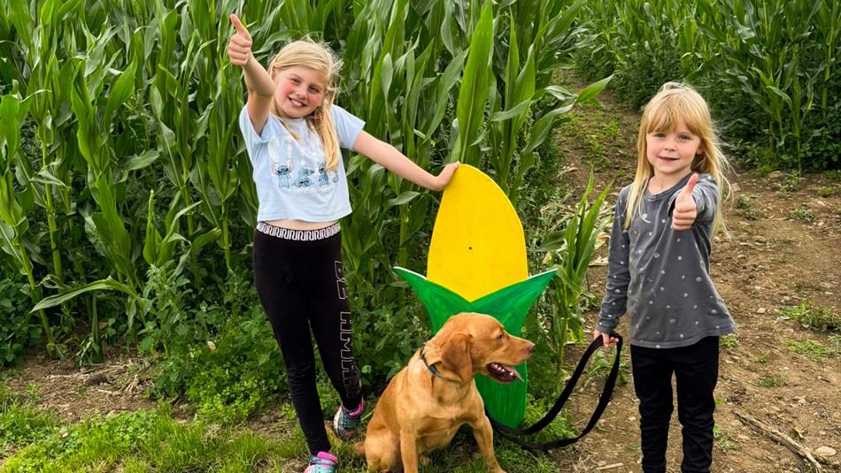 Children exploring the Maize Maze at Thorpe Farm Centre