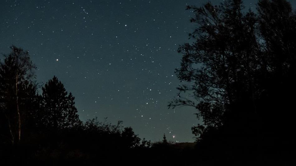 The Orionid Meteor Shower