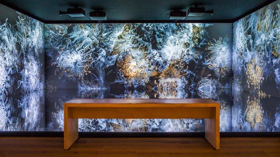 Tracks of Change - Perfume by Yann Nguema Exhibition, part of the S&DR200 festival.
