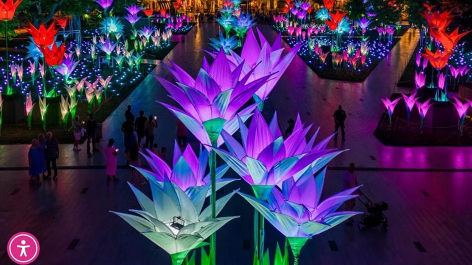 Gigantic illuminated flowers in various colours.  Elysium Garden - Jigantics (UK)