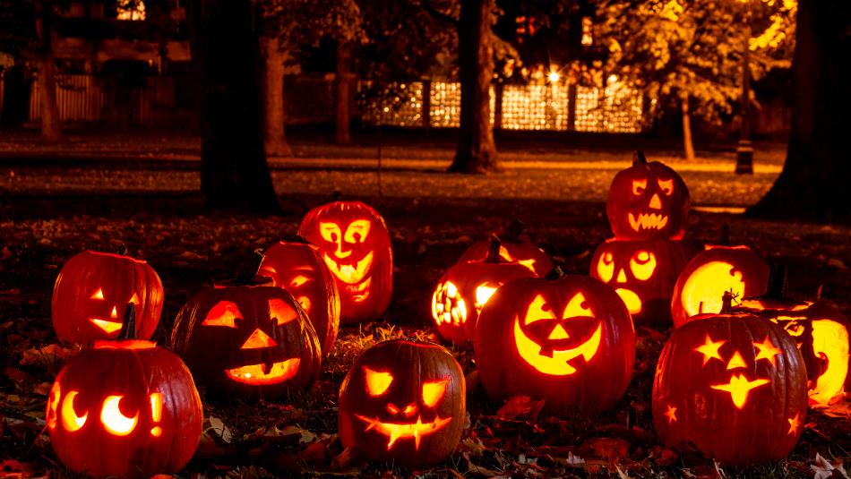 Halloween pumpkins on autumn leaves at night. Trees in distance.