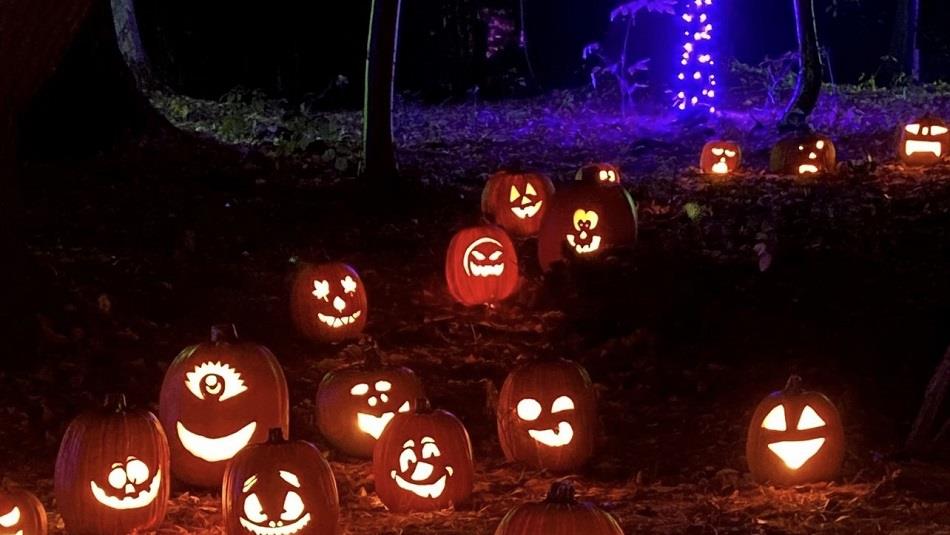 Lit pumpkins in the forest