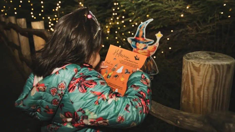 Child looking at the Halloween trail in the Plotters' Forest at Raby Castle