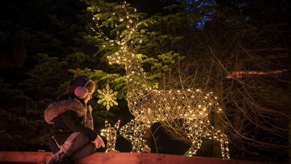 A child sitting beside an illuminated reindeer on the Enchanted Christmas Trail.
