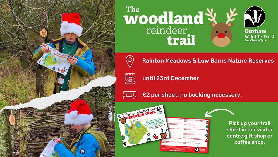 Children enjoying The Woodland Reindeer Trail at Rainton Meadows