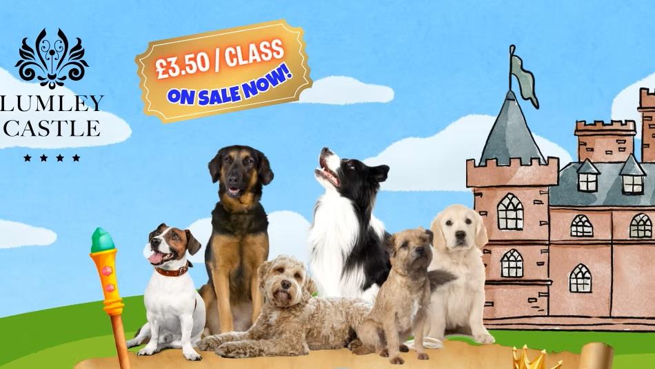 six dogs with a cartoon painting of Lumley Castle in the background
