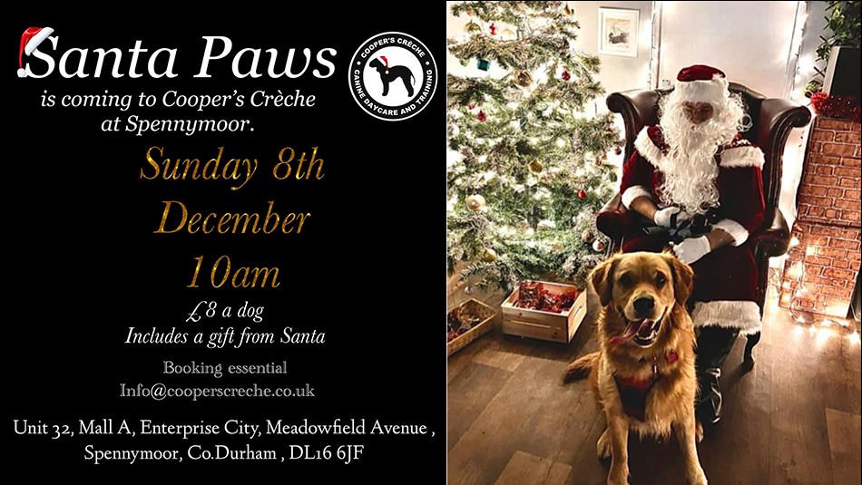 Santa Paws event details Santa and dog sitting near Christmas Tree