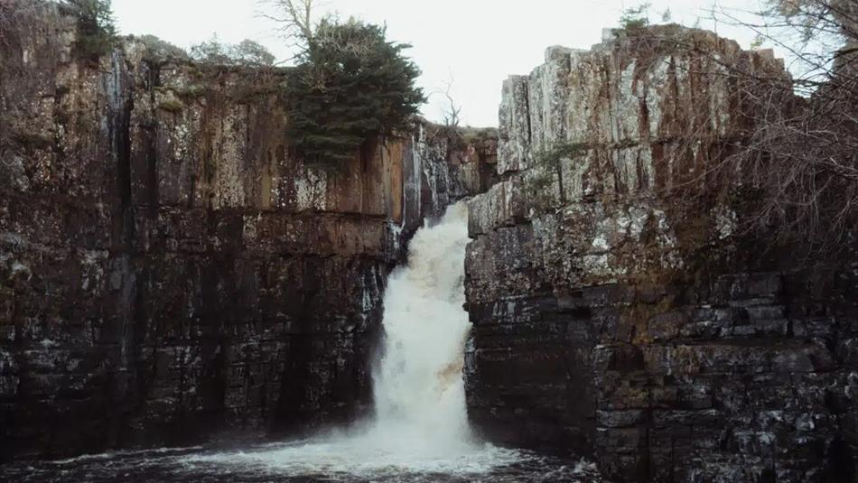 High Force Half Term Spring Safari