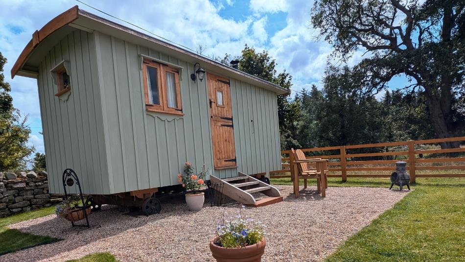 Sycamore Shepherd's Hut at Edge Knoll Farm