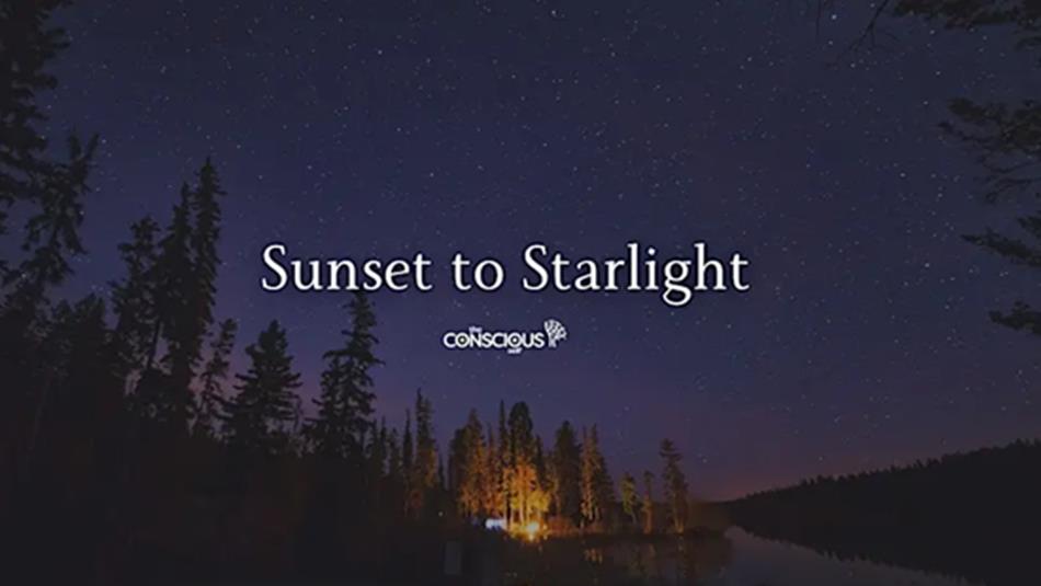 A starry sky over a forest - Sunset to Starlight.